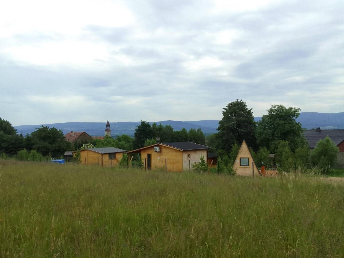 Szalas W Gorach Izerskich, Blisko Swieradow Zdroj I Zamek Czocha, Agroturystyka, Ogrzewanie, Klimatyzacja , Plac Zabaw, Ognisko Z Rusztem I Kijkami, Zywe Zwierzeta, Latem Basen Мірськ Екстер'єр фото